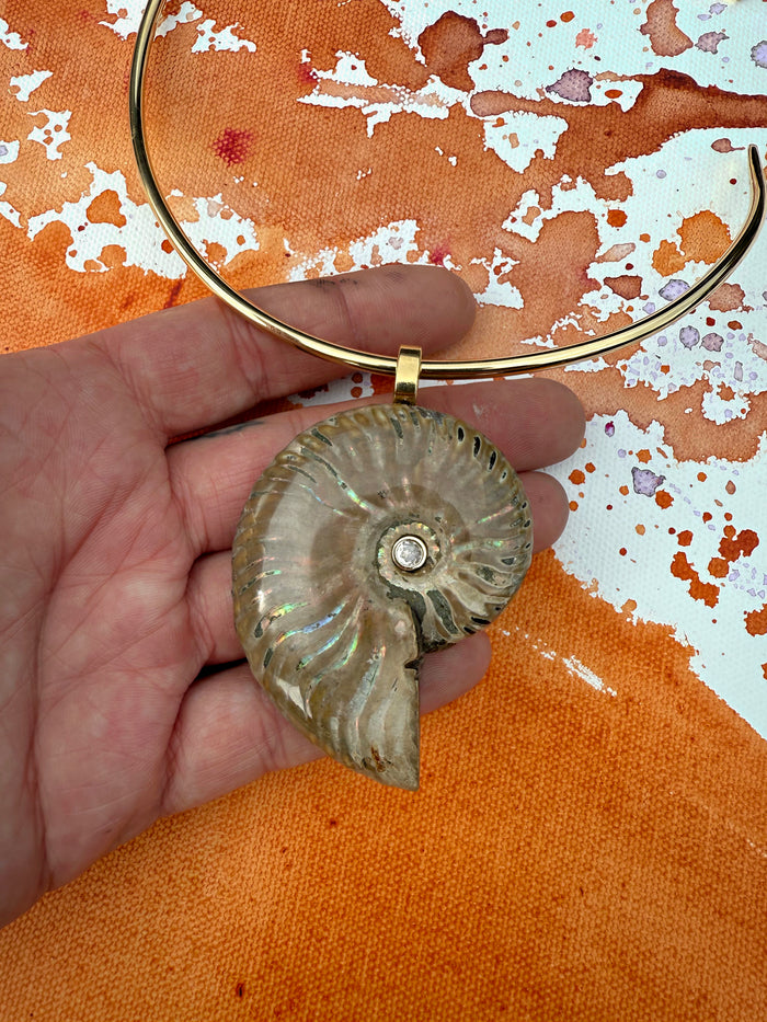Assorted Shells on Goddess Collar