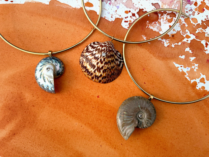 Assorted Shells on Goddess Collar