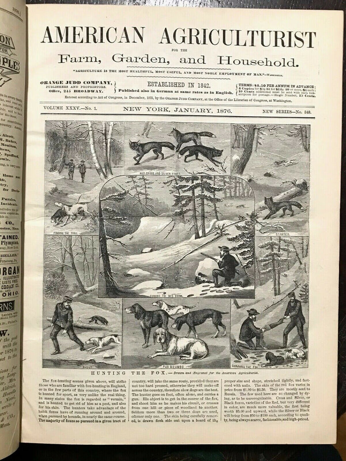 AMERICAN AGRICULTURIST FOR FARM, GARDEN, HOUSEHOLD - 24 Original Issues 1876-77