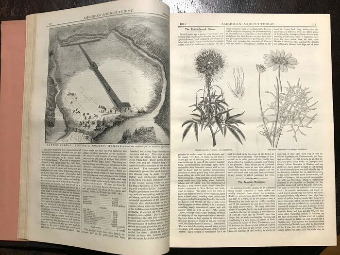 AMERICAN AGRICULTURIST FOR FARM, GARDEN, HOUSEHOLD - 24 Original Issues 1876-77