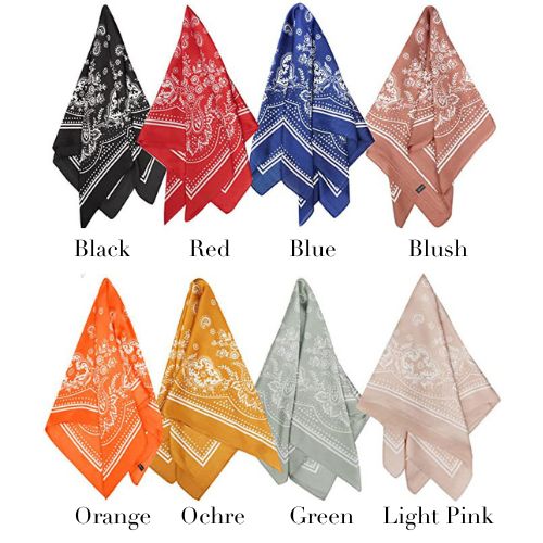 Buffalo Nickel Bandana Slide