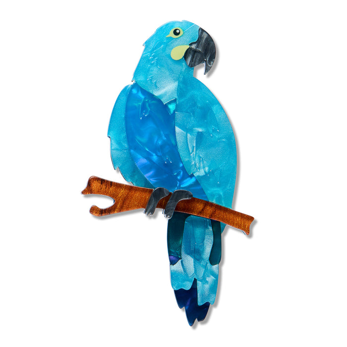 Erstwilder Glaucous Macaw Parrot Brooch ~ 2026 The Rarest Kind Collection ~