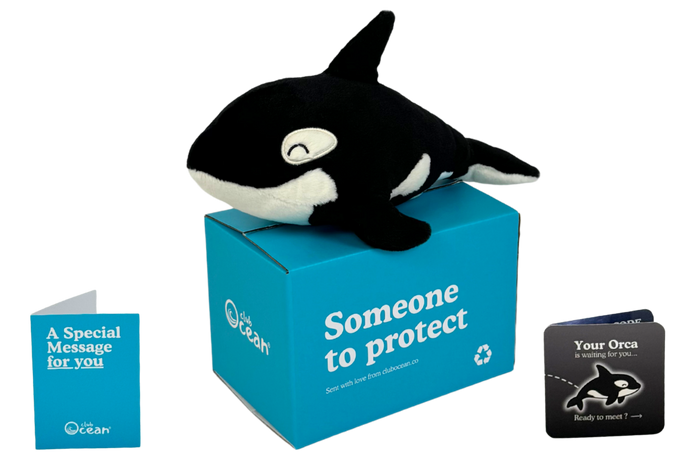Orca Plushie