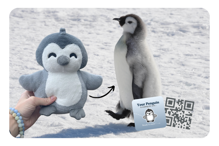 Penguin Adoption Plushie
