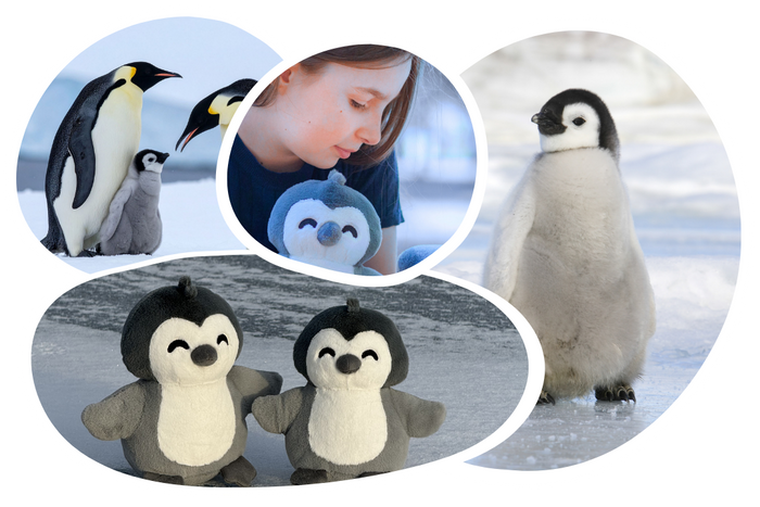 Penguin Adoption Plushie