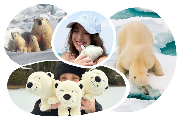 Polar Bear Plushie