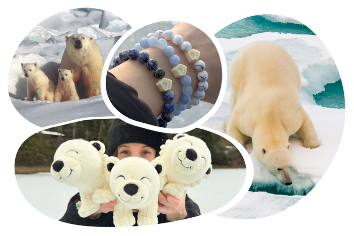 Polar Bear Tracking Bracelet