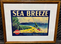 "Sea Breeze Brand" Citrus Crate Label – Framed - Annapolis Maritime Antiques