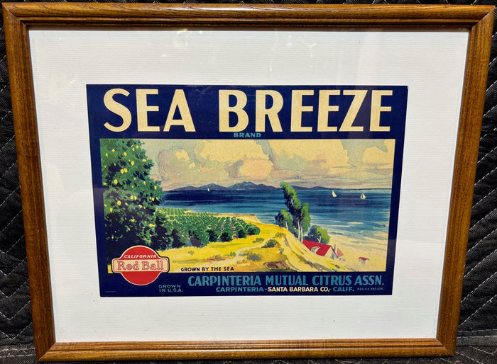 "Sea Breeze Brand" Citrus Crate Label – Framed - Annapolis Maritime Antiques