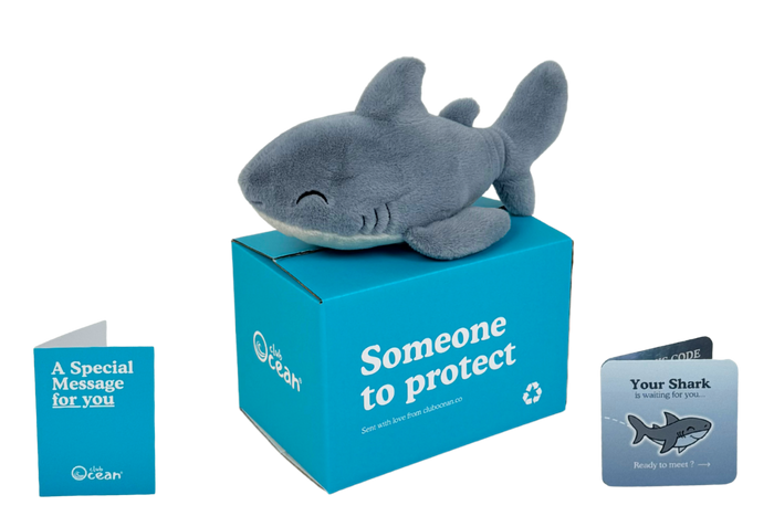 Shark Plushie