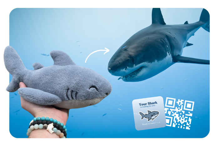 Shark Plushie