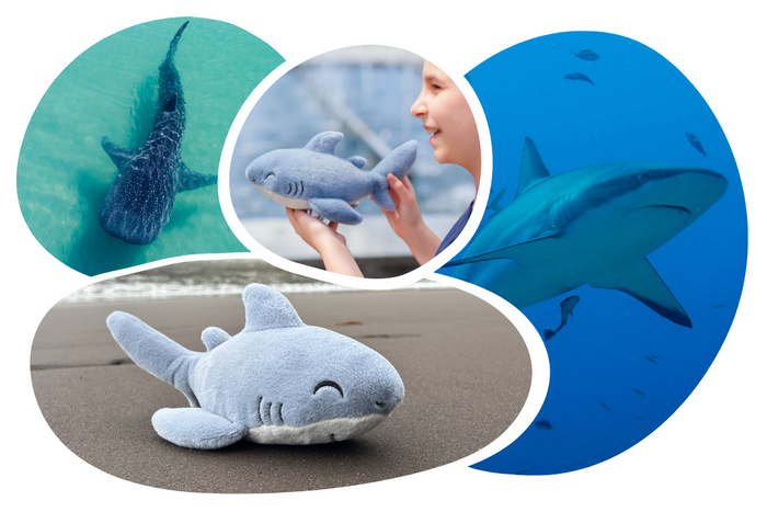 Shark Plushie