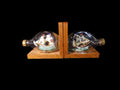 Ship In A Bottle Book Ends