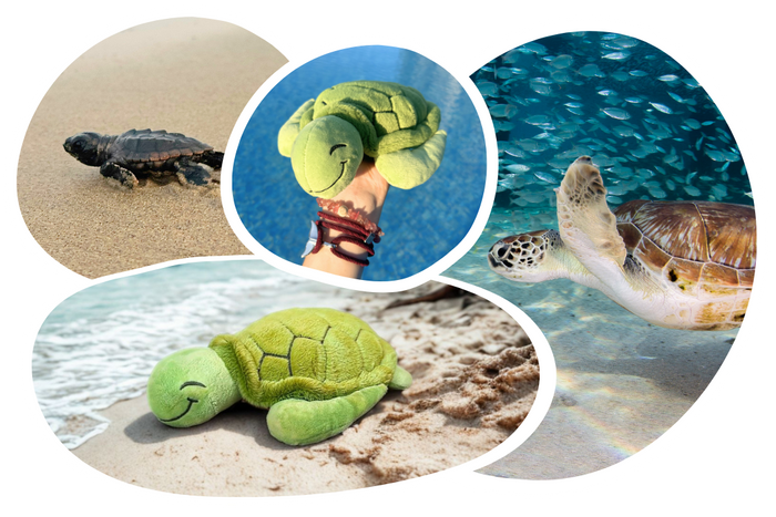 Turtle Plushie