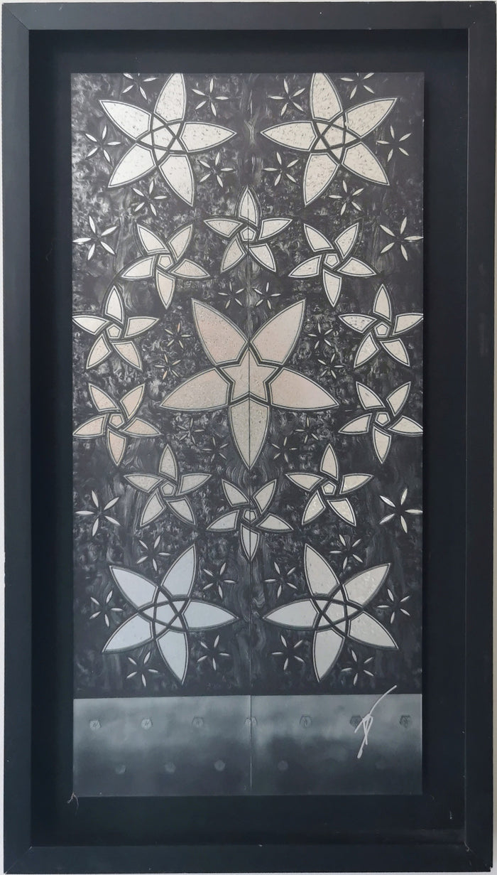 VICTOR BECKELMANN -SERIE CELOSÍAS